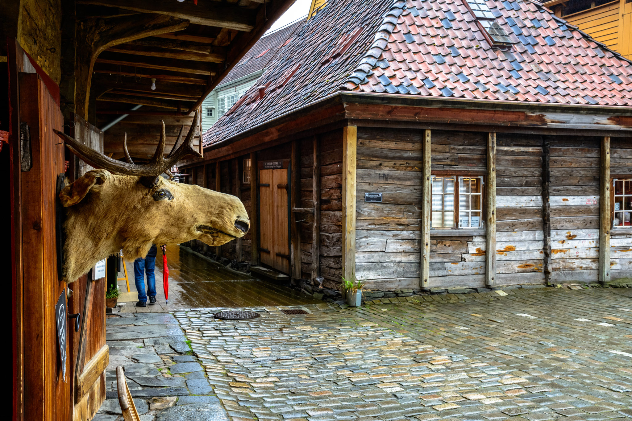 Bergen